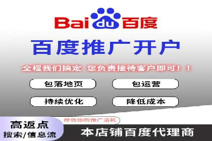 百度竞价排名服务助力：某品牌迅速占领市场